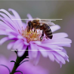 Numb（KOSMO'23 remix）