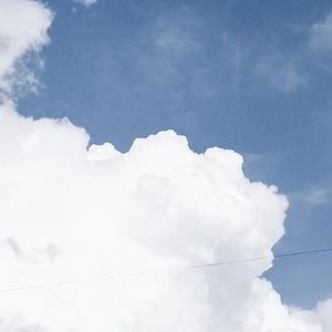 疏肝理气，降火去燥，抑郁胸闷