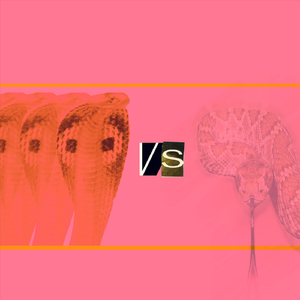Cobra vs. Snake