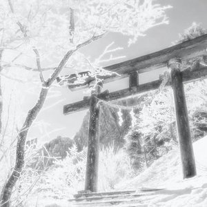 (•‾̑⌣‾̑•)✧˖