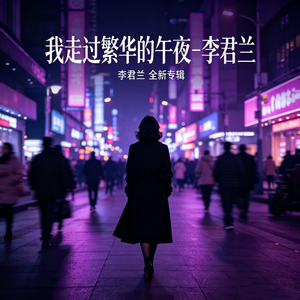我走过繁华的午夜