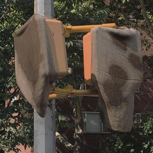 Dreams of Being Stolen