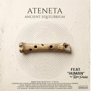 Human (The Vocal Synthesis/Human Interface) (feat. RocXann)