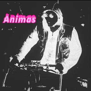 Animas