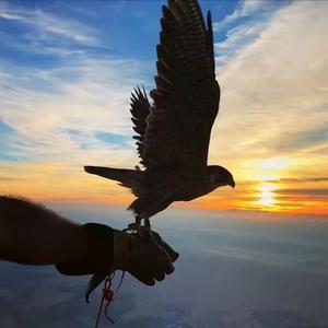 总有一天你会出现在我身边