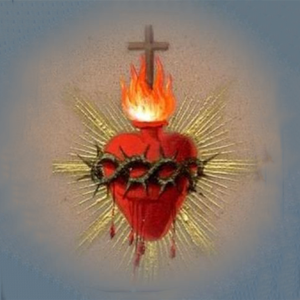 。。。。。。。