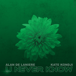 U Never Know (Soulful Mix)