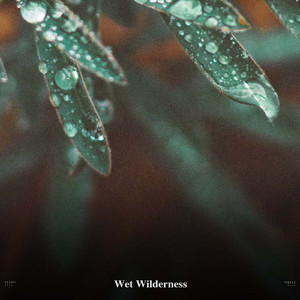 Rainy Day Sounds On A Tin Roof