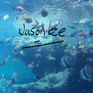 Charlie Puth&Selena Gomez-We Don't Talk Anymore(JasonLee Remix)