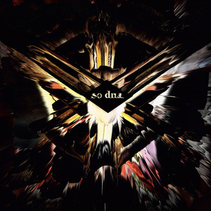 SO DNA