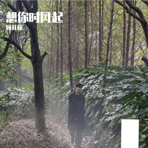 不枉（不知天上宫阙）