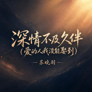 深情不及久伴(爱的人我没能娶到)