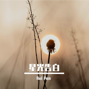星光告白 伴奏