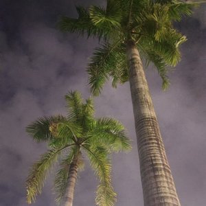 安和桥（苏珞翻唱）