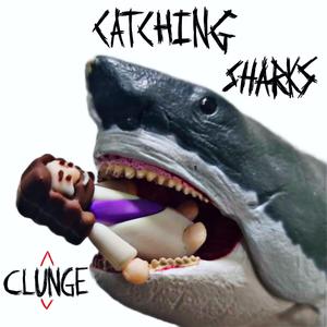 Fishing For Compliments (Catching Sharks)