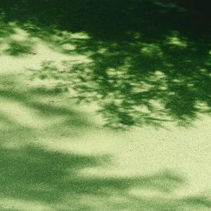 春风吹的我流泪