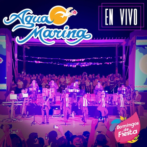 Tu Amor Fue Una Mentira (En Vivo)