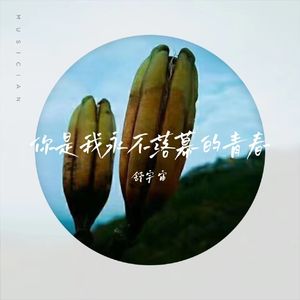 你是我永不落幕的青春