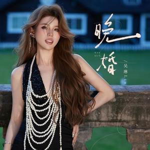 晚婚 (DJ版)