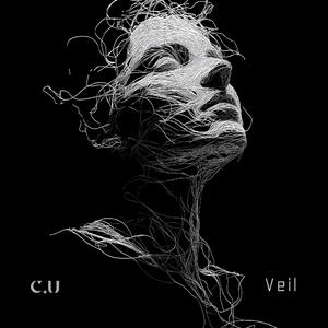 Veil