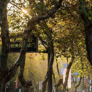 【新生代群星】主题曲：STARS