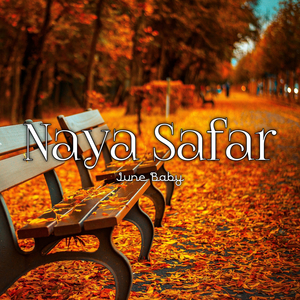 Naya Safar