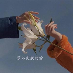 永不失联的爱piano.