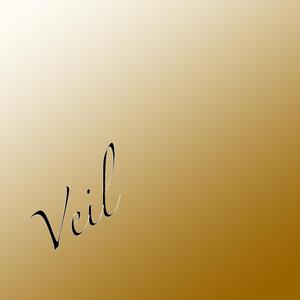 Veil