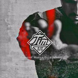 TIM-疯狂赶鸭子（TIM remix）
