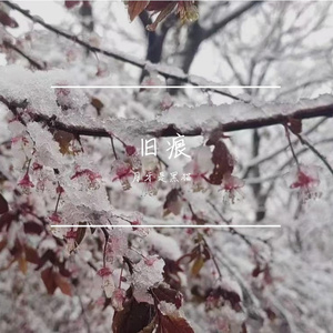 未命名混音项目 3_缩混.wav