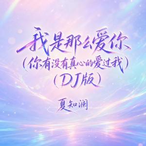 我是那么爱你(你有没有真心的爱过我)(DJ版)