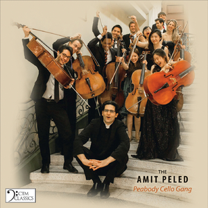 Arpeggione Sonata in A Minor, D. 821: I. Allegro moderato