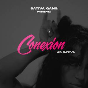 Conexion