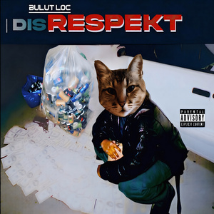 Disrespekt