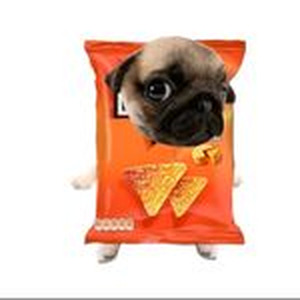 Pretty's On The Inside (Sped Up)