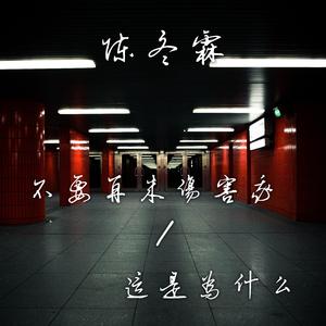 不要再来伤害我 (郑智化版)
