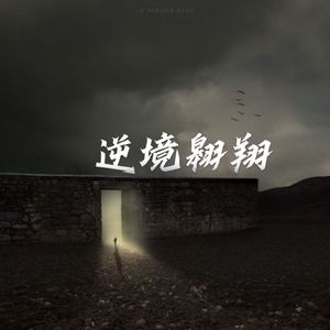 逆境翱翔(Explicit)