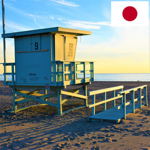 カリフォルニアのペリカンとビーチのリラックスした音