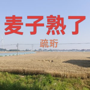 麦子熟了