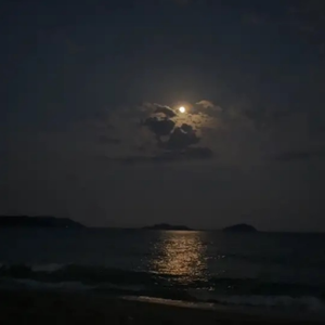 霓虹下的逐梦者