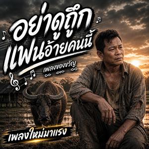 อย่าดูถืกแฟนอ้ายคนนี้, บ้านนอกแล้วมันผิดหยัง, เขาดีกว่าอ้ายบ่, คำดูถืกของเขา, บ่คู่ควรในสายตาเจ้า