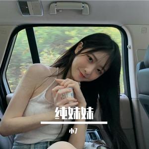 纯妹妹（小7 remix）