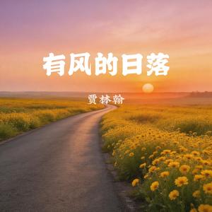 有风的日落