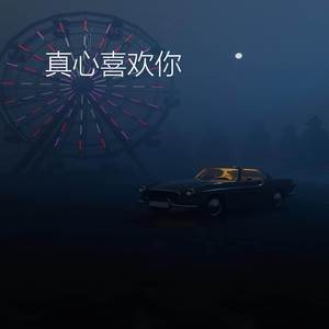 真心喜欢你