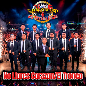 Los Chinelos/El Toro Requeson