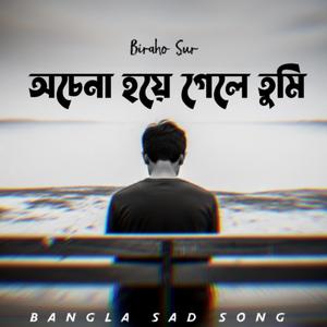 অচেনা হয়ে গেলে তুমি | Ochena Hoye Gele Tumi