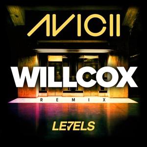 Levels (Willcox 2k17 Re-edit)