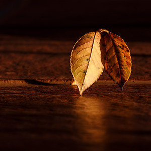 Lelah (Instrumental)