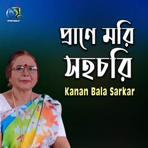 Prane Mori Sohochori