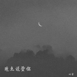 晚点说爱你 (降调)